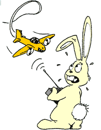 Lapin brevet